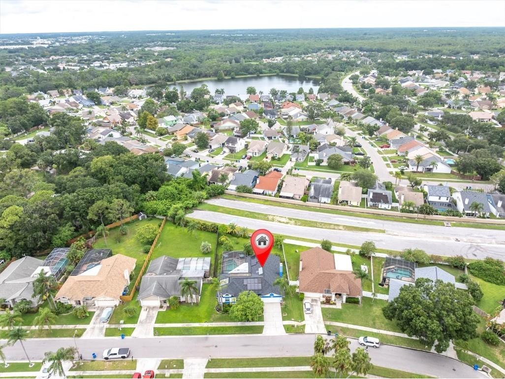 12046 Stone Crossing Circle Tampa FL 33635 TB8425771 image43