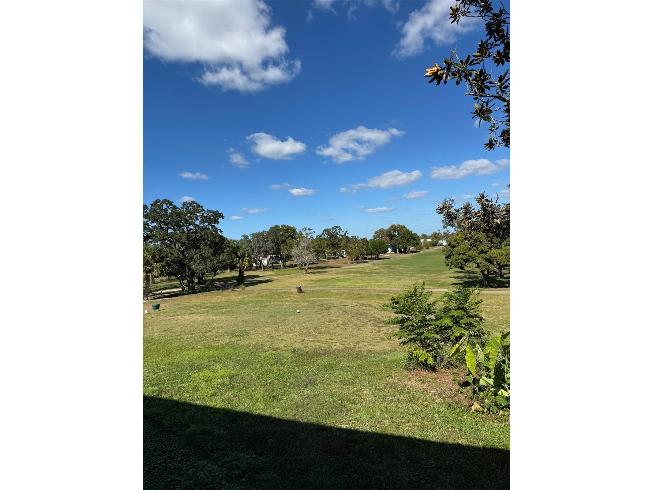 12047 Fairway Avenue Brooksville FL 34613 W7885392 image42
