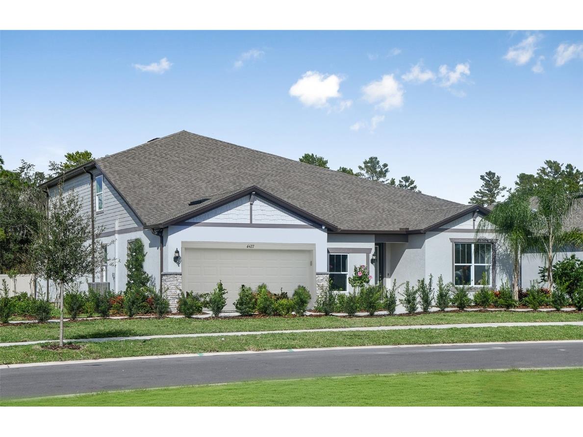 12047 Orchid Ash Street Riverview FL 33579 T3506030 image1