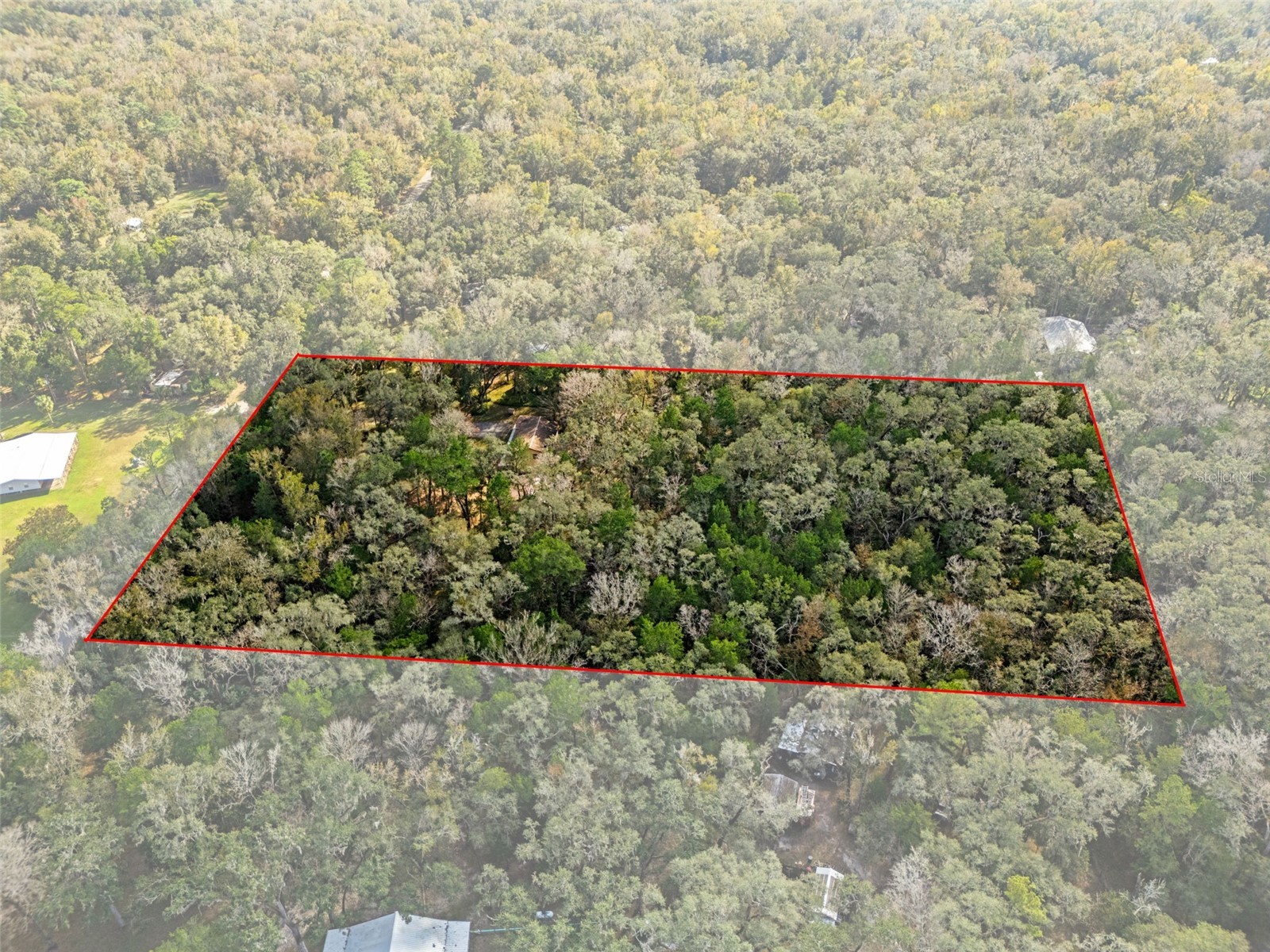 12047 Timber Lane Brooksville FL 34601 W7881662 image10