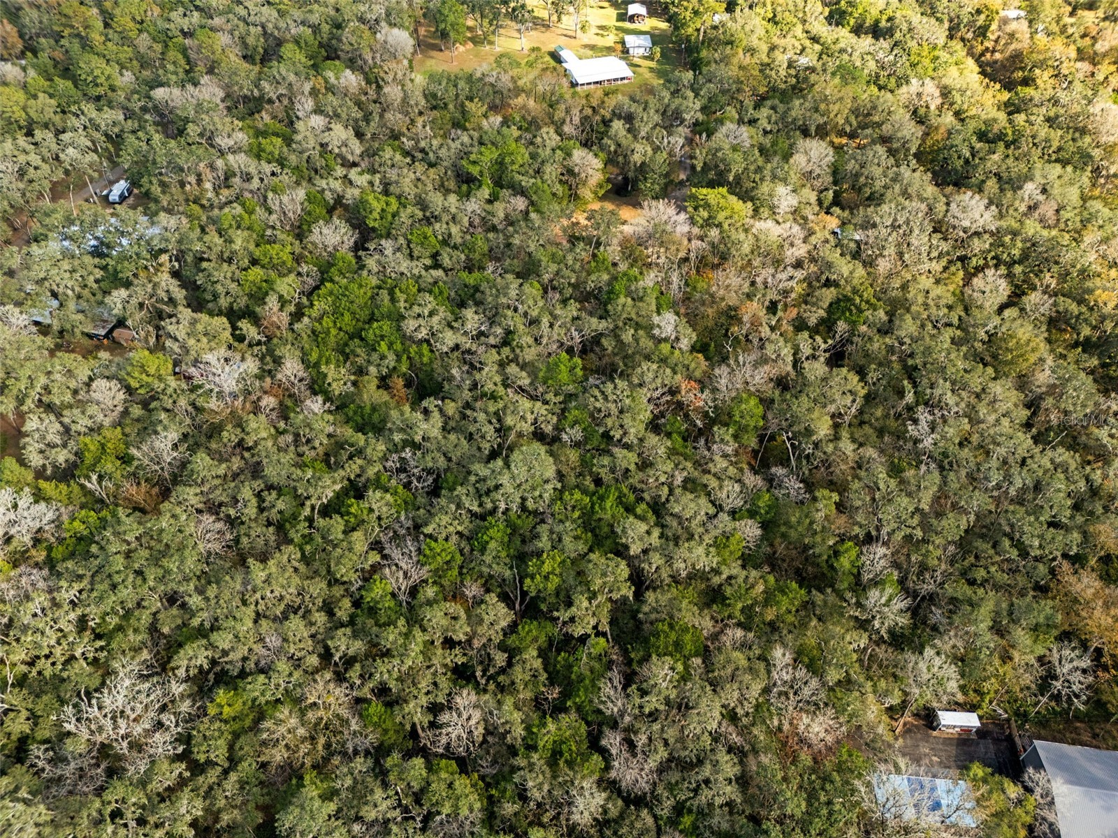 12047 Timber Lane Brooksville FL 34601 W7881662 image3