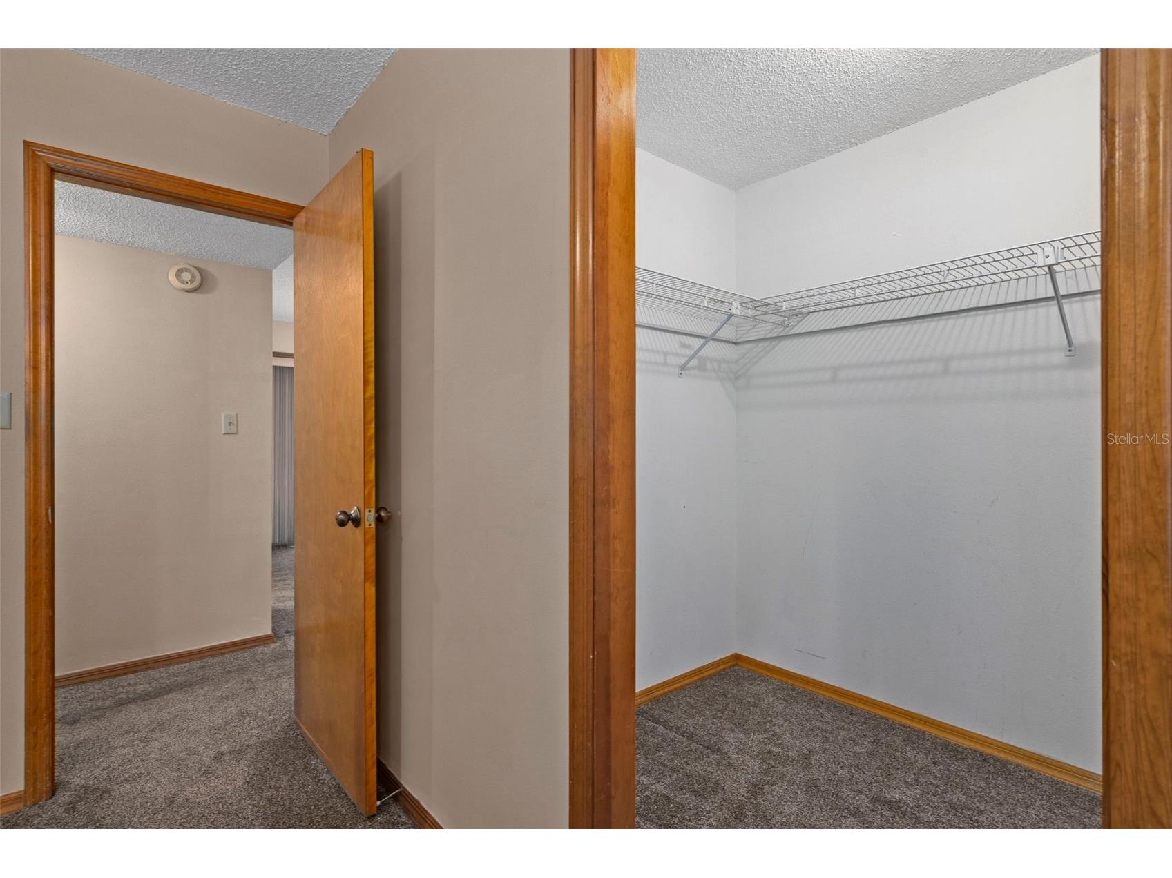 12047 Timber Lane Brooksville FL 34601 W7881662 image34