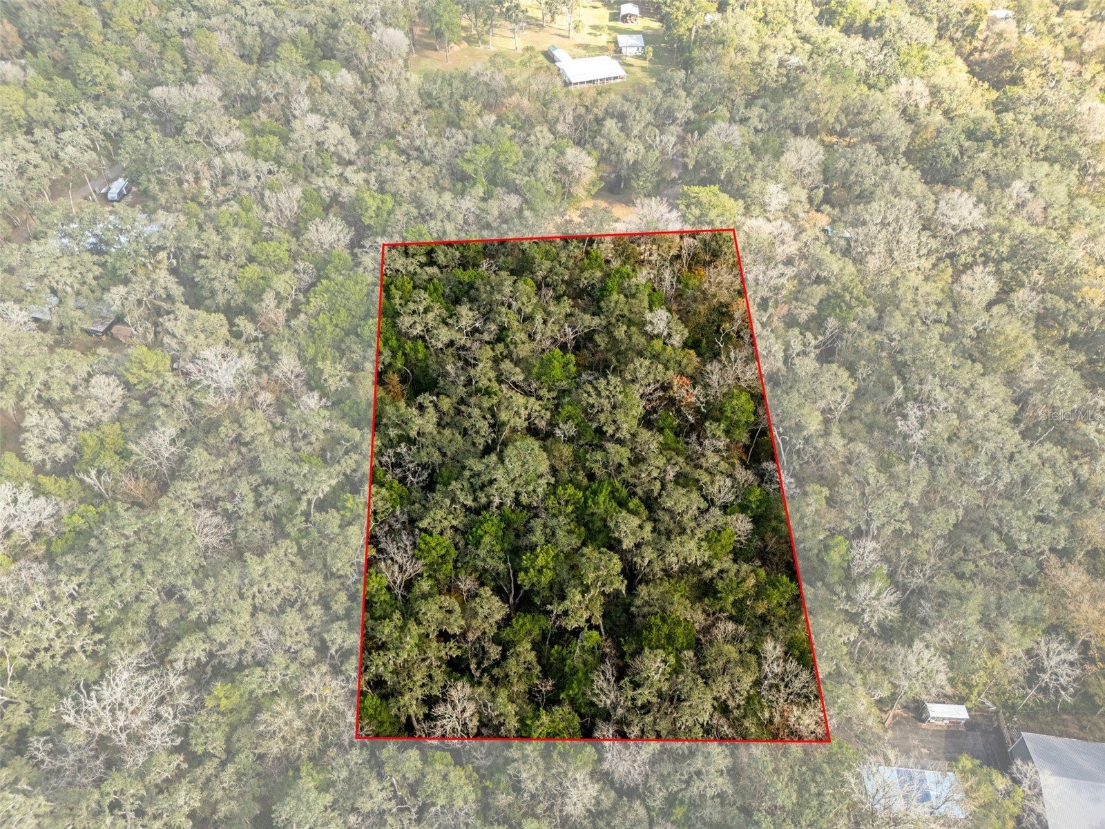 12047 Timber Lane Brooksville FL 34601 W7881662 image4