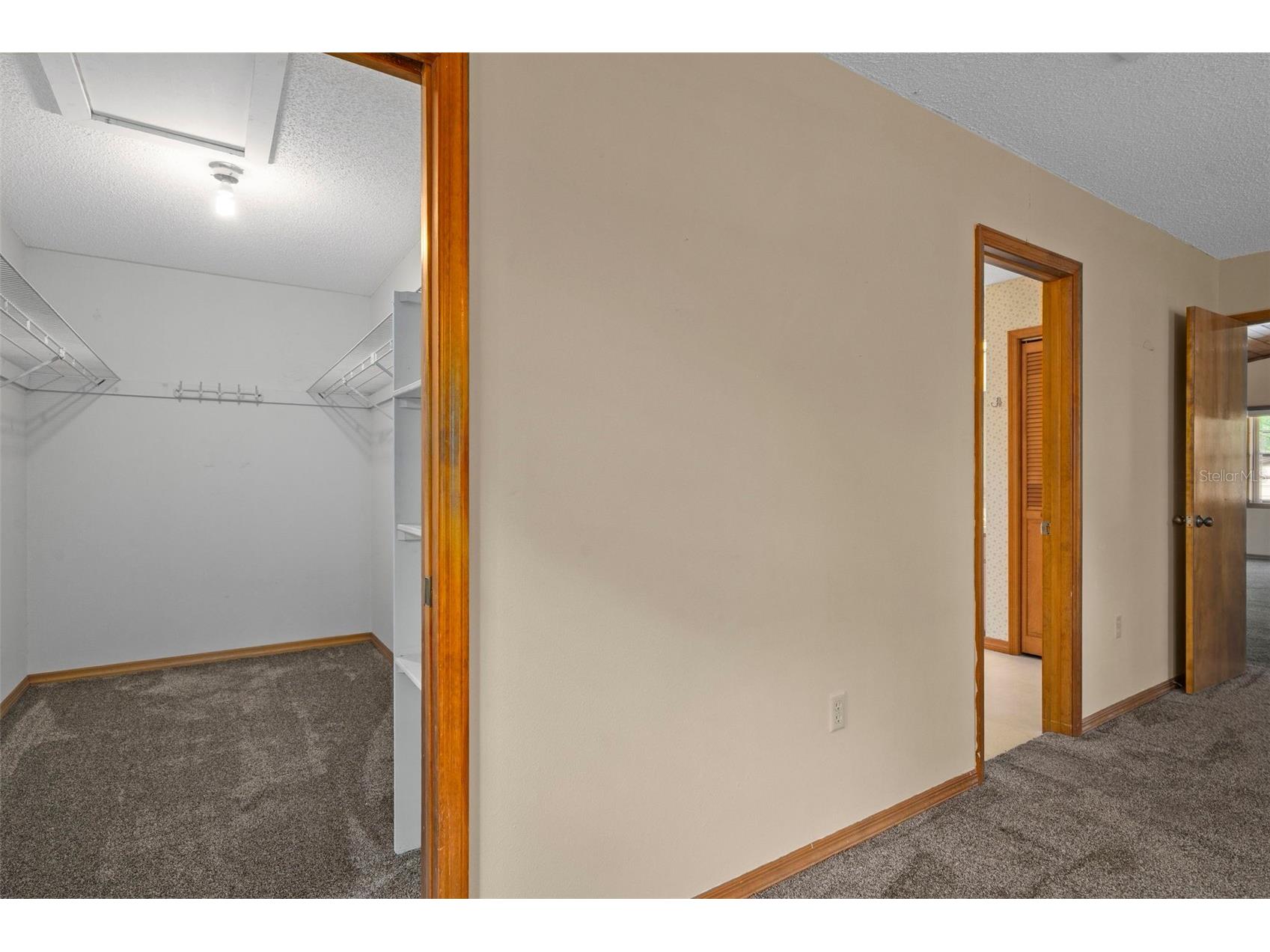 12047 Timber Lane Brooksville FL 34601 W7881662 image43