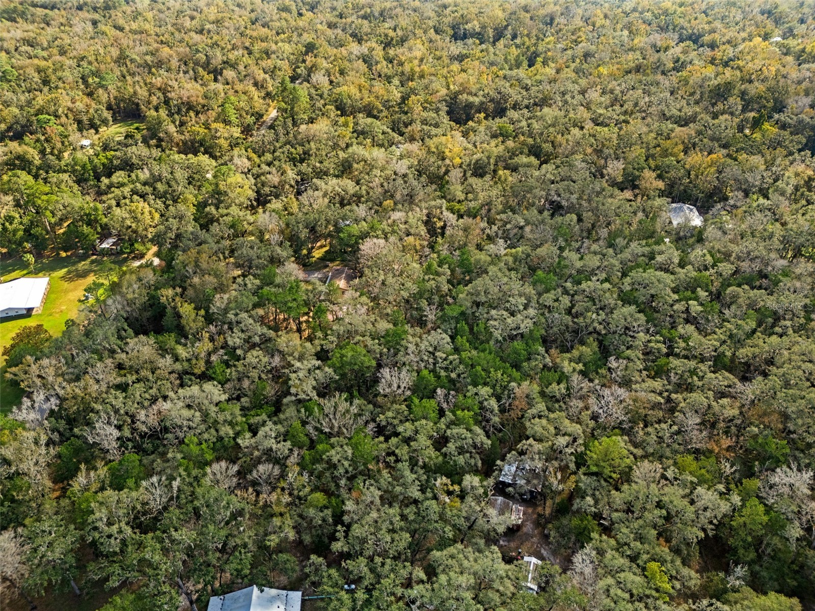 12047 Timber Lane Brooksville FL 34601 W7881662 image5