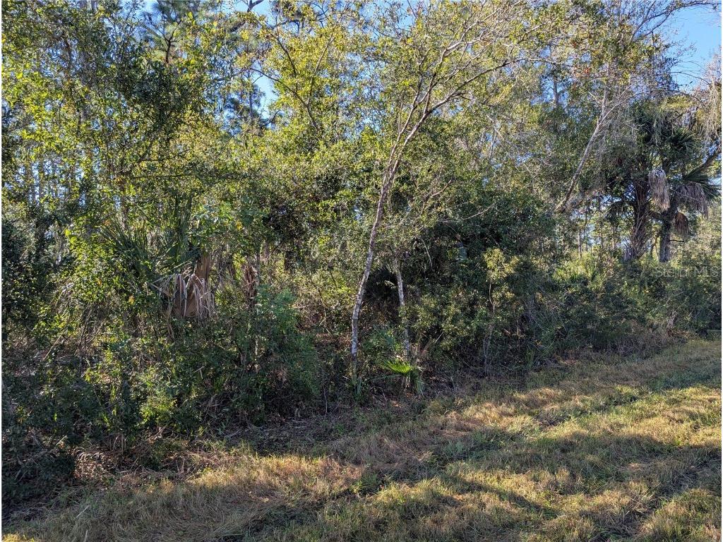 12049 Chamberlain Boulevard Port Charlotte FL 33953 C7518165 image2