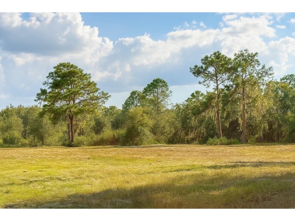 1205-1209 W Alexander Street Plant City FL 33563 O6358084 image1