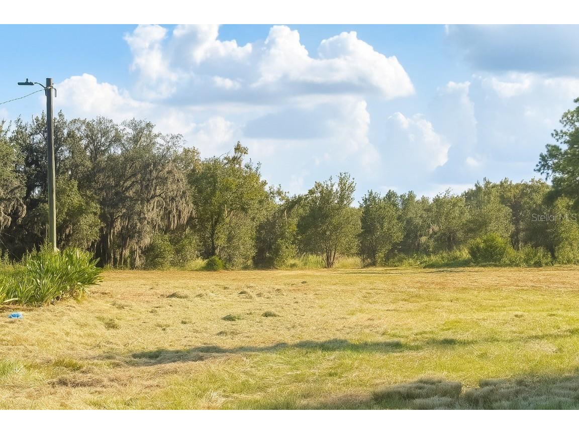 1205-1209 W Alexander Street Plant City FL 33563 O6358084 image2