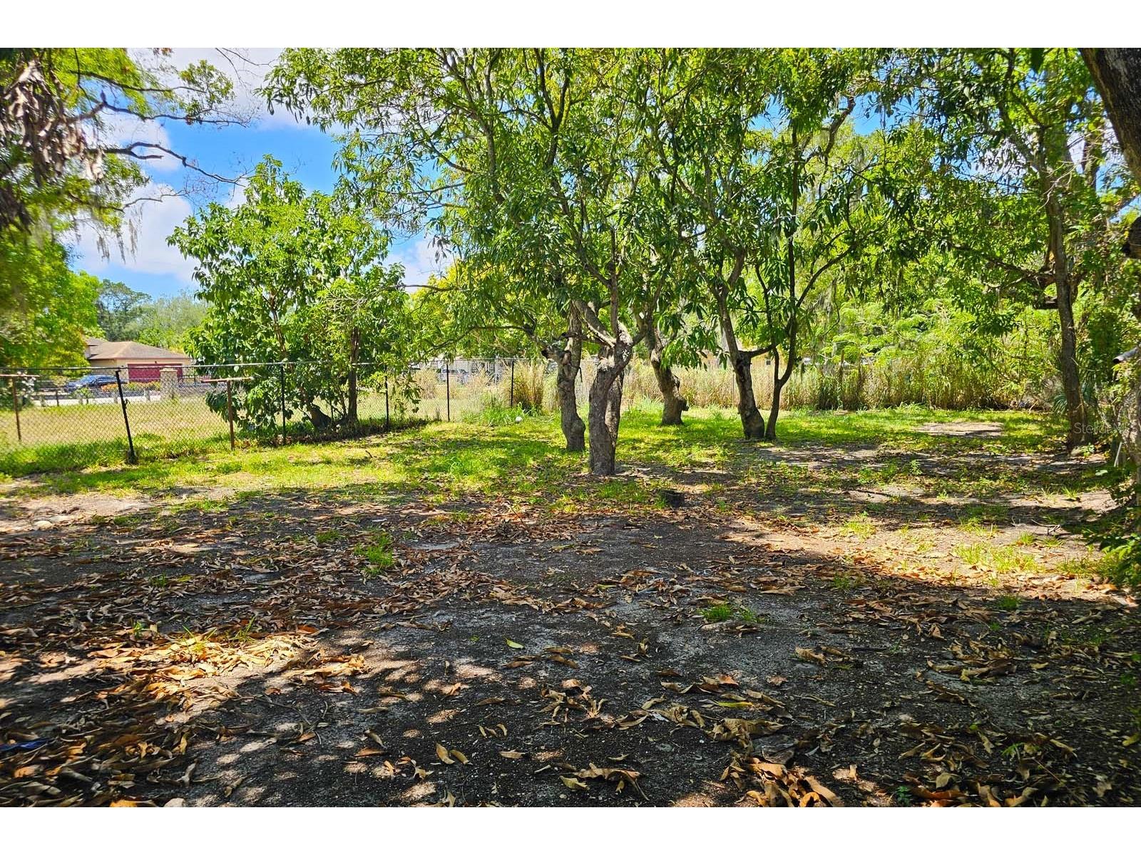 1205 2nd Avenue W Palmetto FL 34221 A4697831 image16