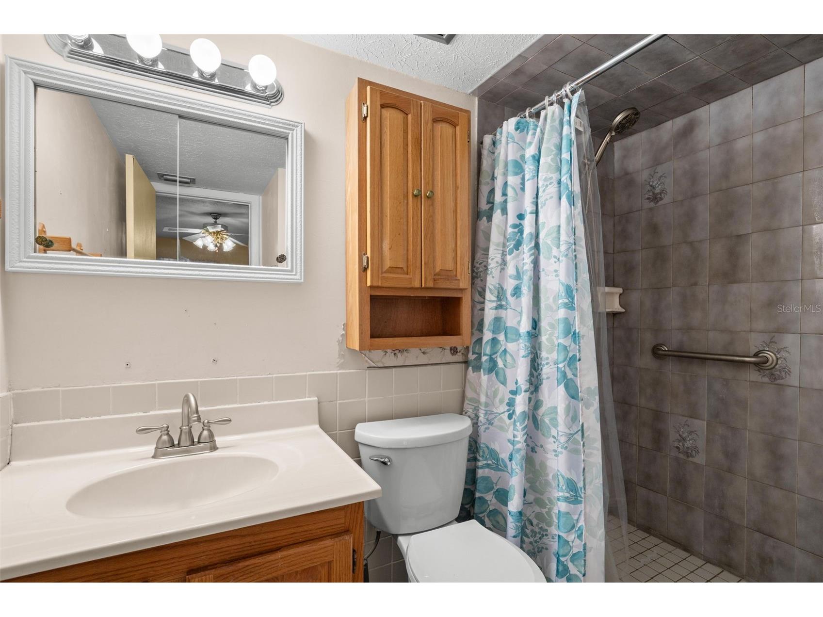 1205 Branda Vista Drive Brandon FL 33510 TB8512736 image42