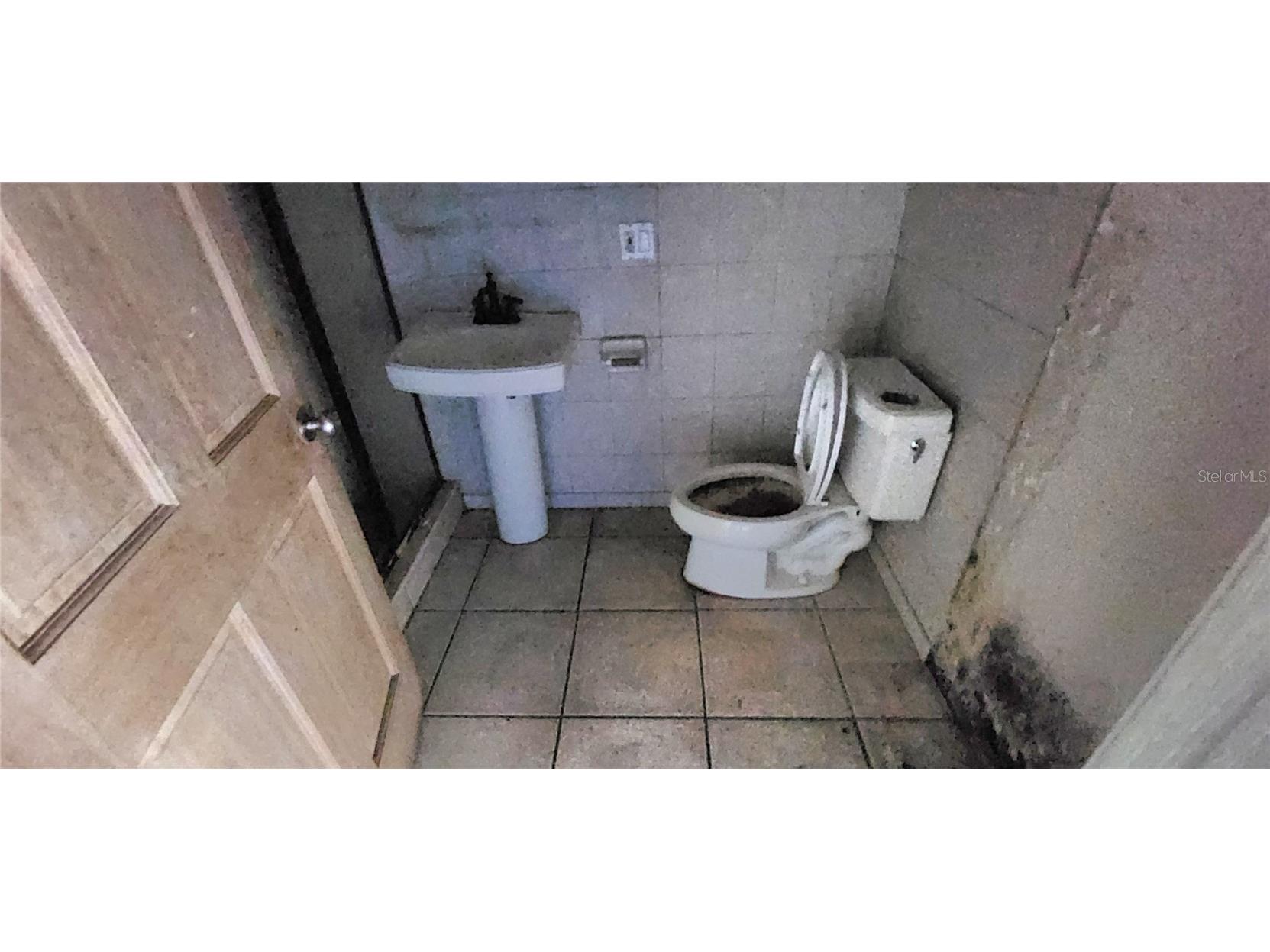 1205 E Knights Griffin Road Plant City FL 33565 L4956525 image25