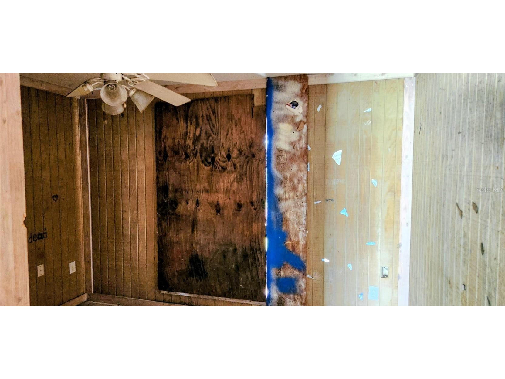 1205 E Knights Griffin Road Plant City FL 33565 L4956525 image39