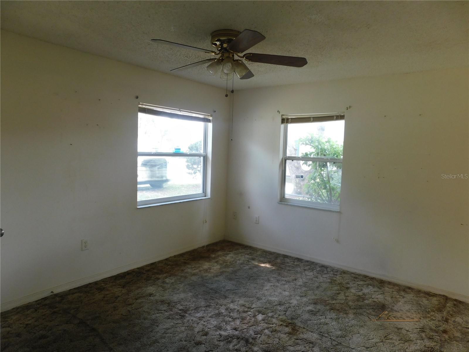 1205 E Laura Street Plant City FL 33563 TB8495465 image2
