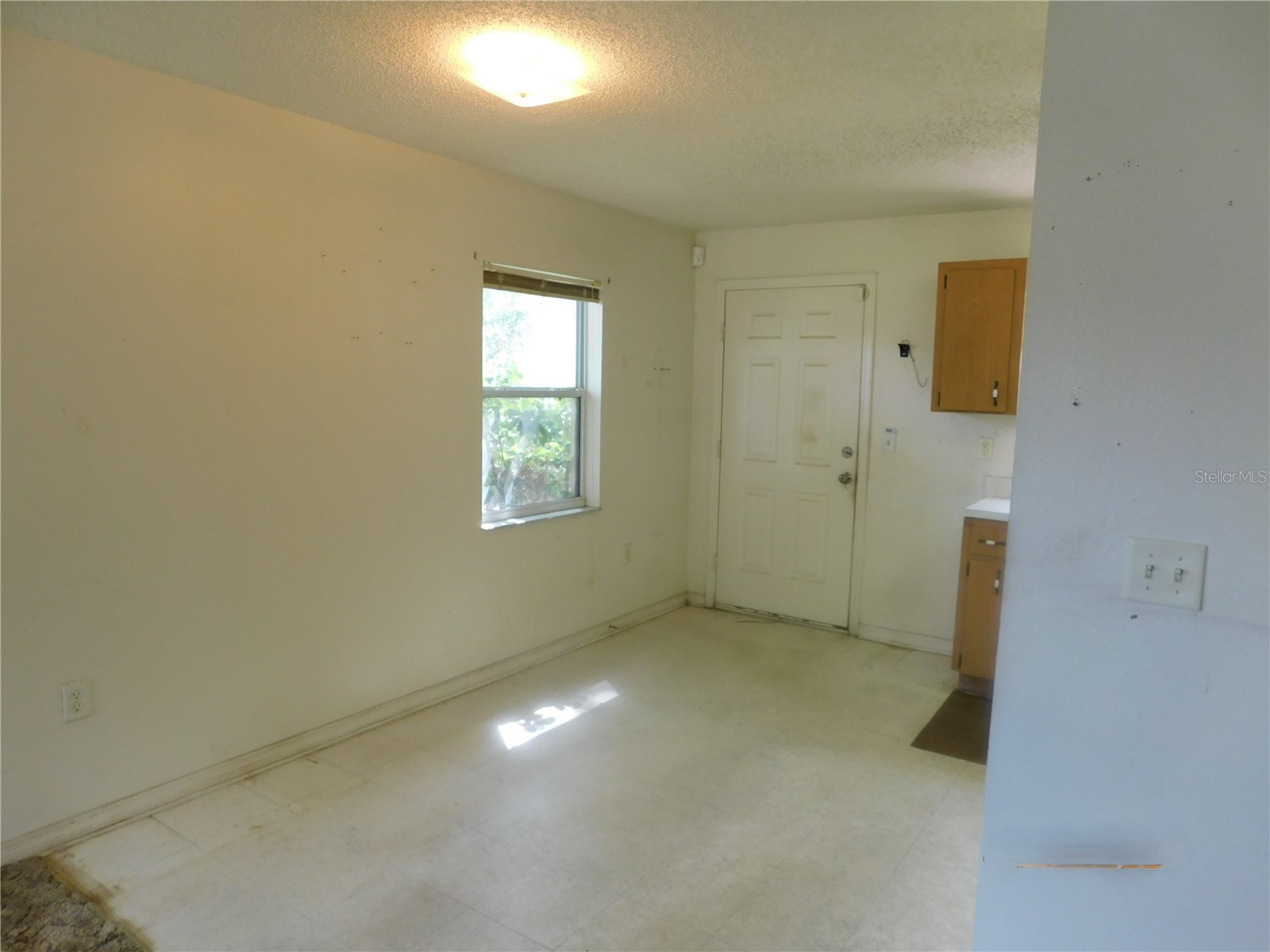 1205 E Laura Street Plant City FL 33563 TB8495465 image3