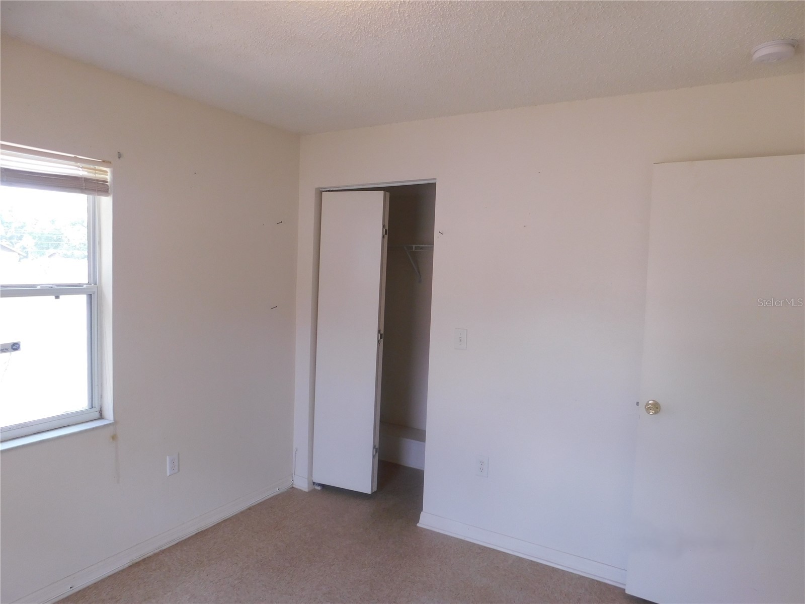 1205 E Laura Street Plant City FL 33563 TB8495465 image6