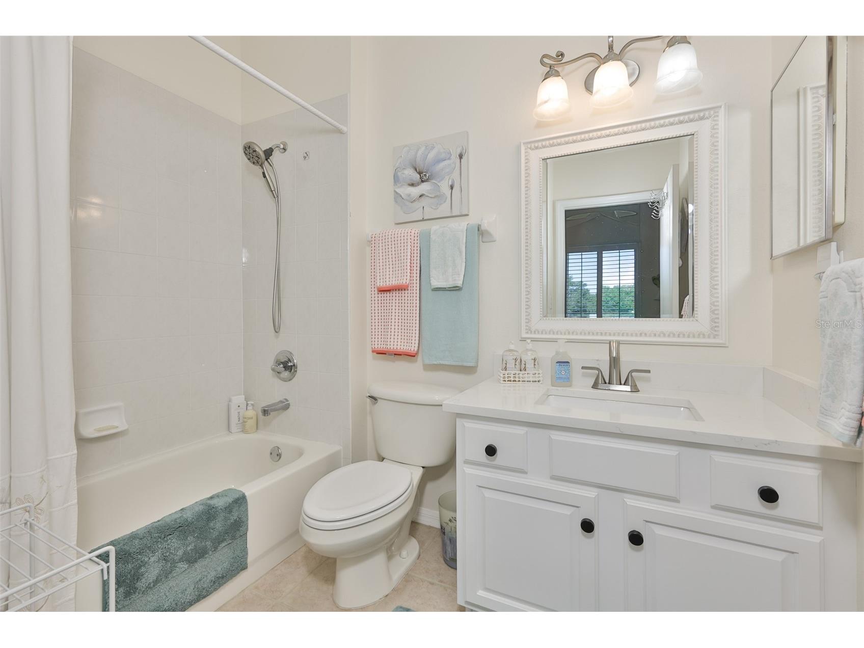 1205 Fairway Greens Drive #58 Sun City Center FL 33573 TB8499072 image18