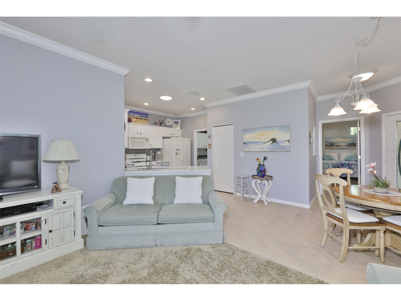 1205 Fairway Greens Drive #58 Sun City Center FL 33573 TB8499072 image8