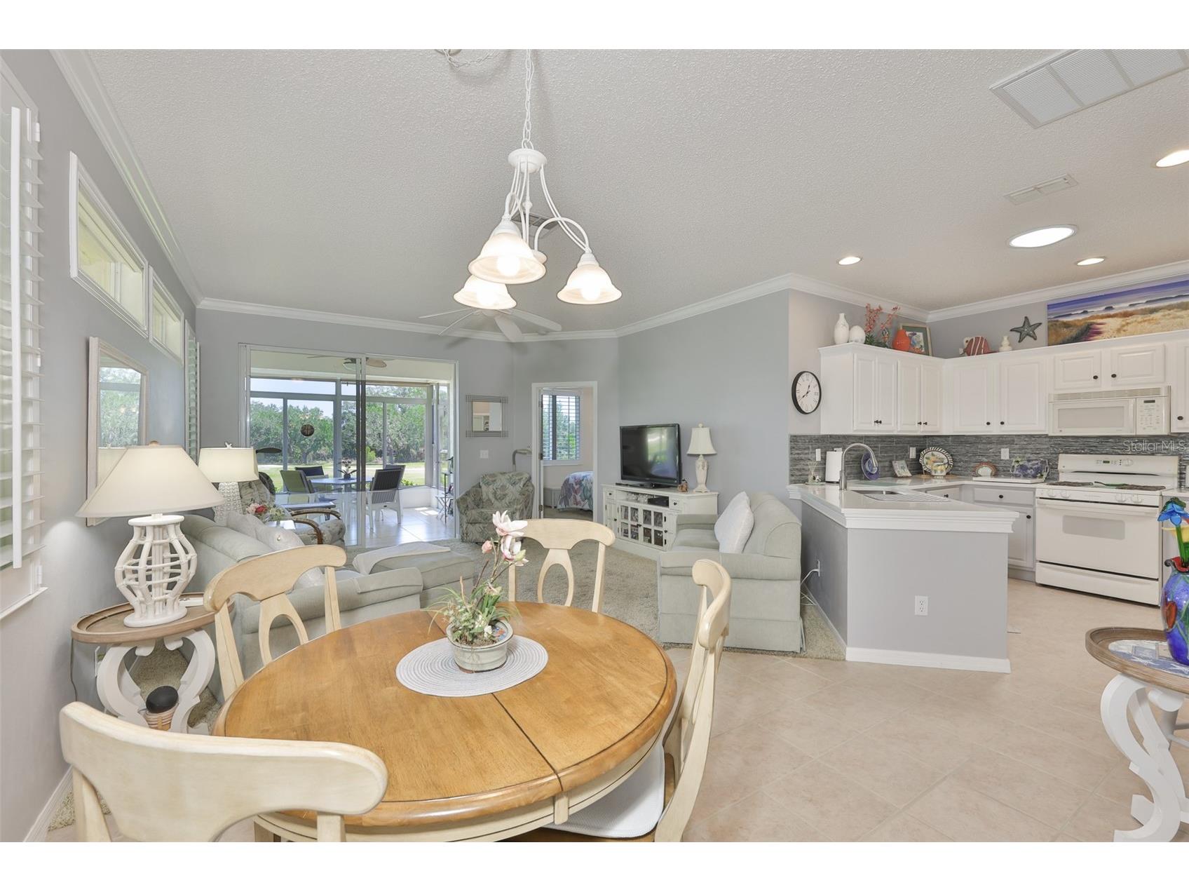 1205 Fairway Greens Drive #58 Sun City Center FL 33573 TB8499072 image9