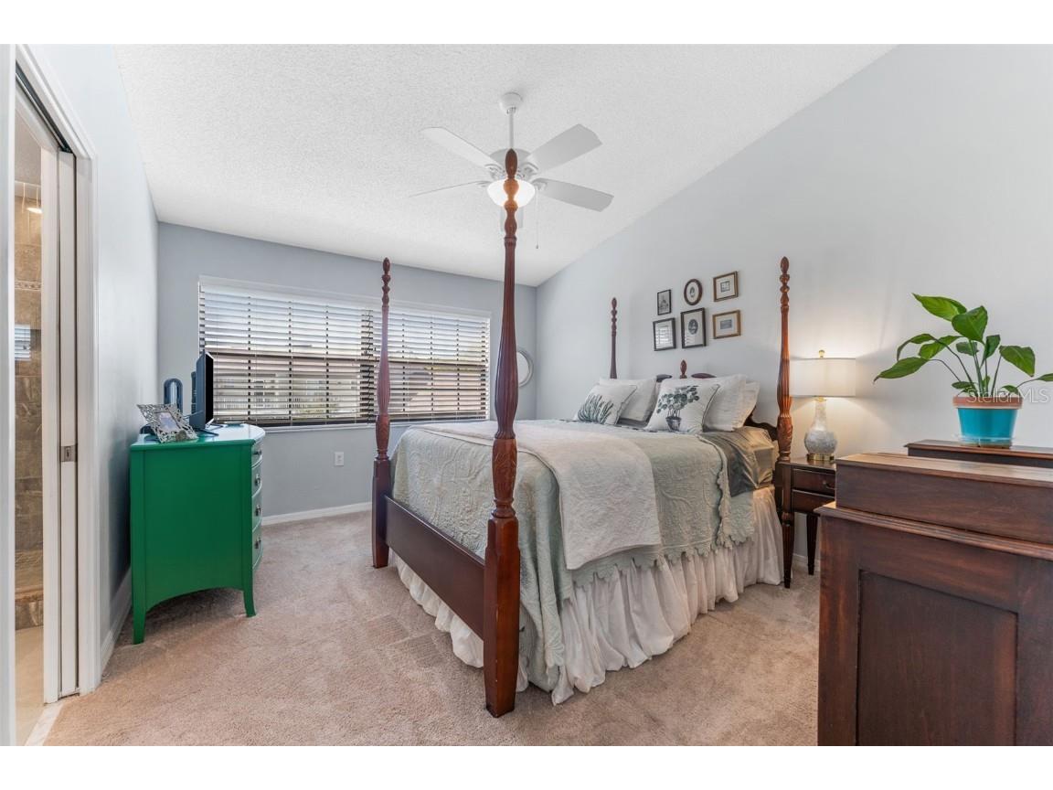 1205 Hounds Run Safety Harbor FL 34695 TB8367612 image11