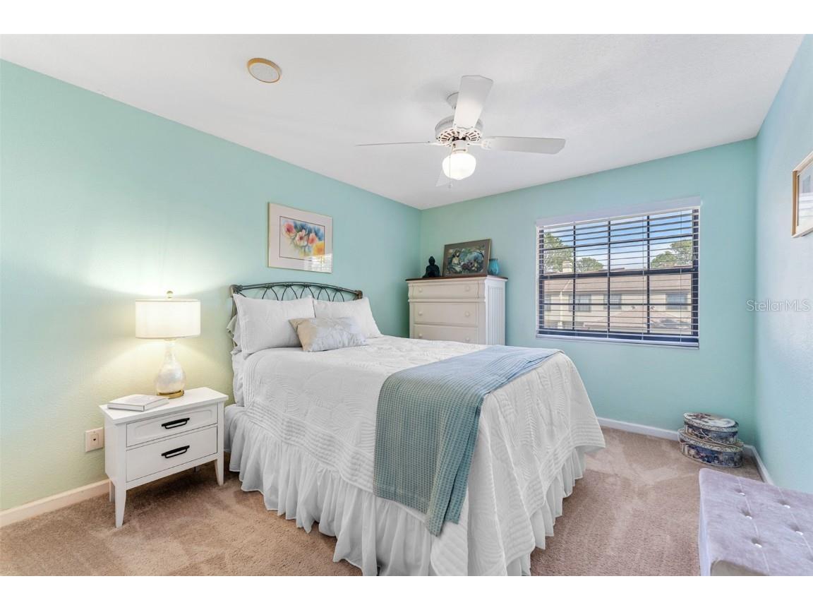 1205 Hounds Run Safety Harbor FL 34695 TB8367612 image13