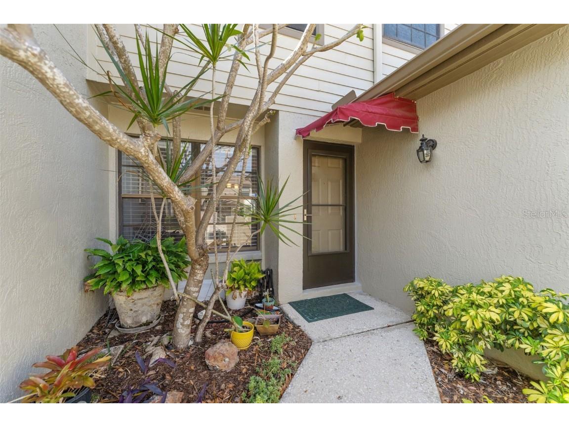 1205 Hounds Run Safety Harbor FL 34695 TB8367612 image2
