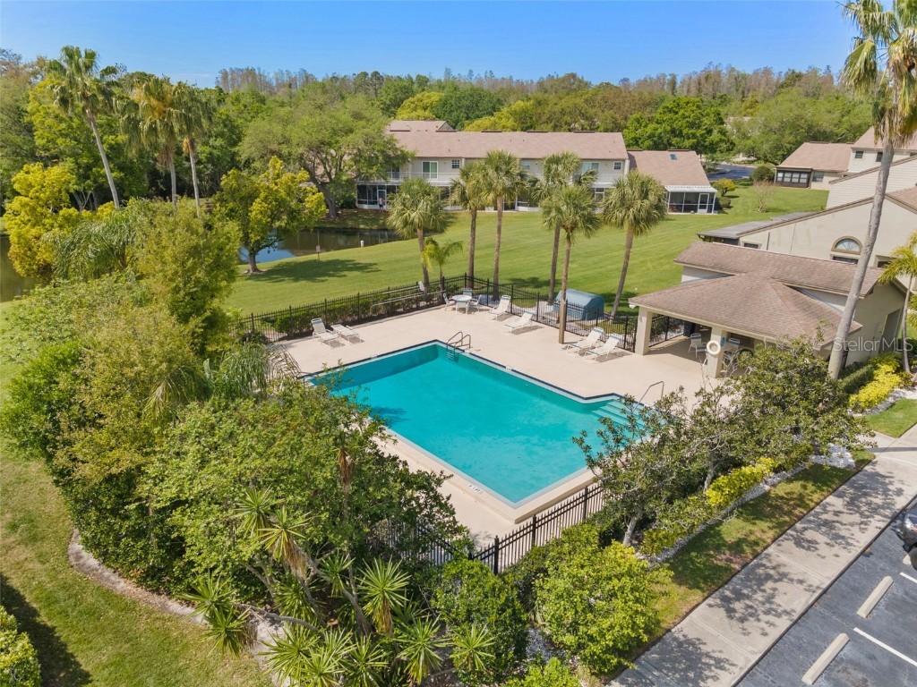 1205 Hounds Run Safety Harbor FL 34695 TB8367612 image24