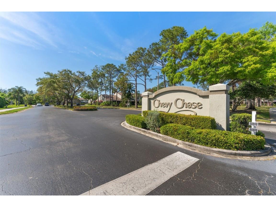 1205 Hounds Run Safety Harbor FL 34695 TB8367612 image25