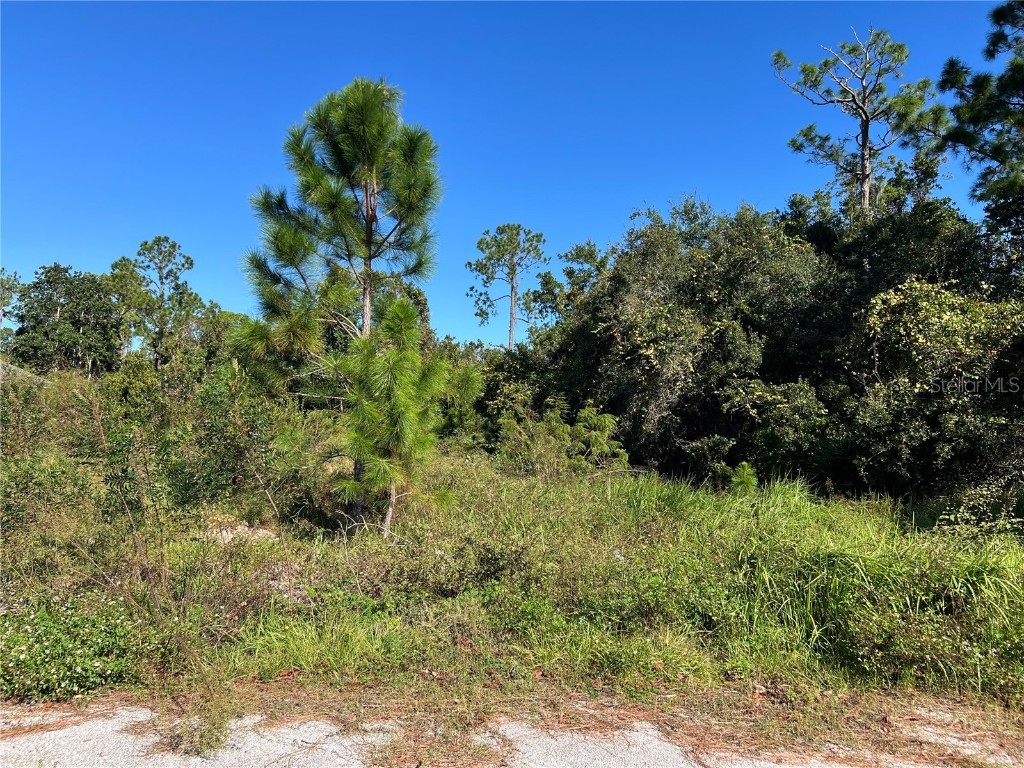 1205 Hudson Harbor Lane Kissimmee FL 34759 S5114285 image1