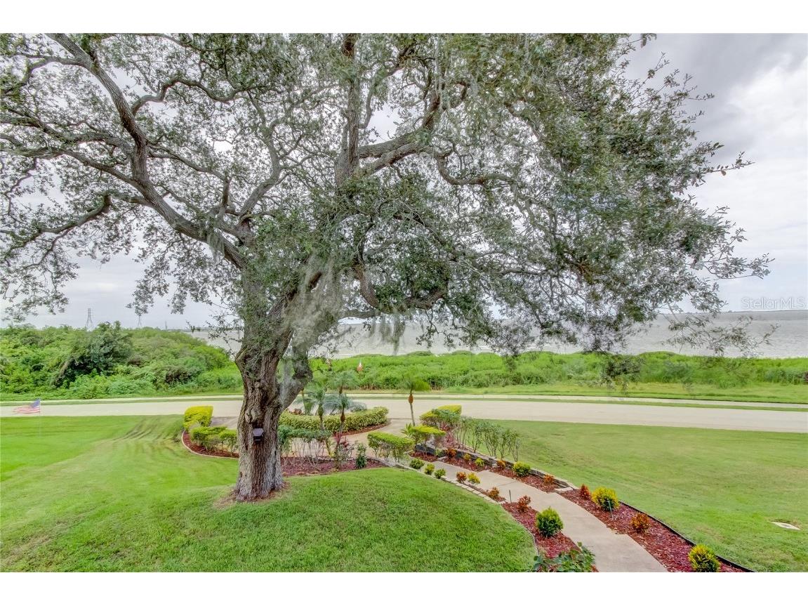 1205 N Bayshore Drive Safety Harbor FL 34695 U8158659 image56