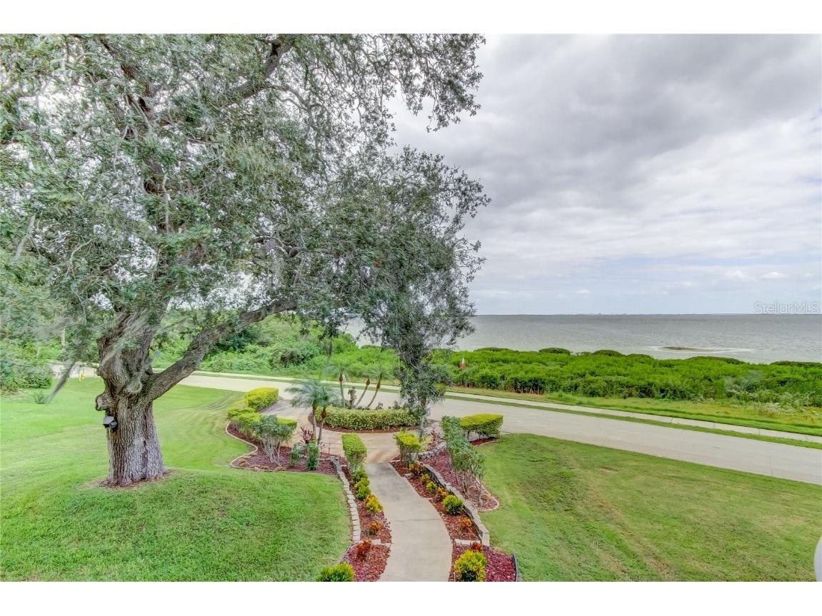 1205 N Bayshore Drive Safety Harbor FL 34695 U8158659 image57