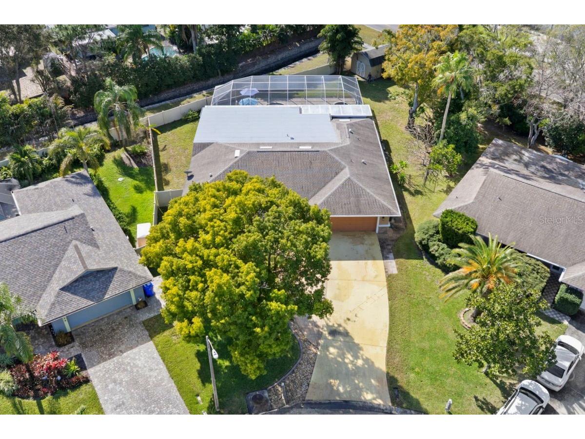 1205 Royal Oak Drive S Dunedin FL 34698 TB8458283 image1