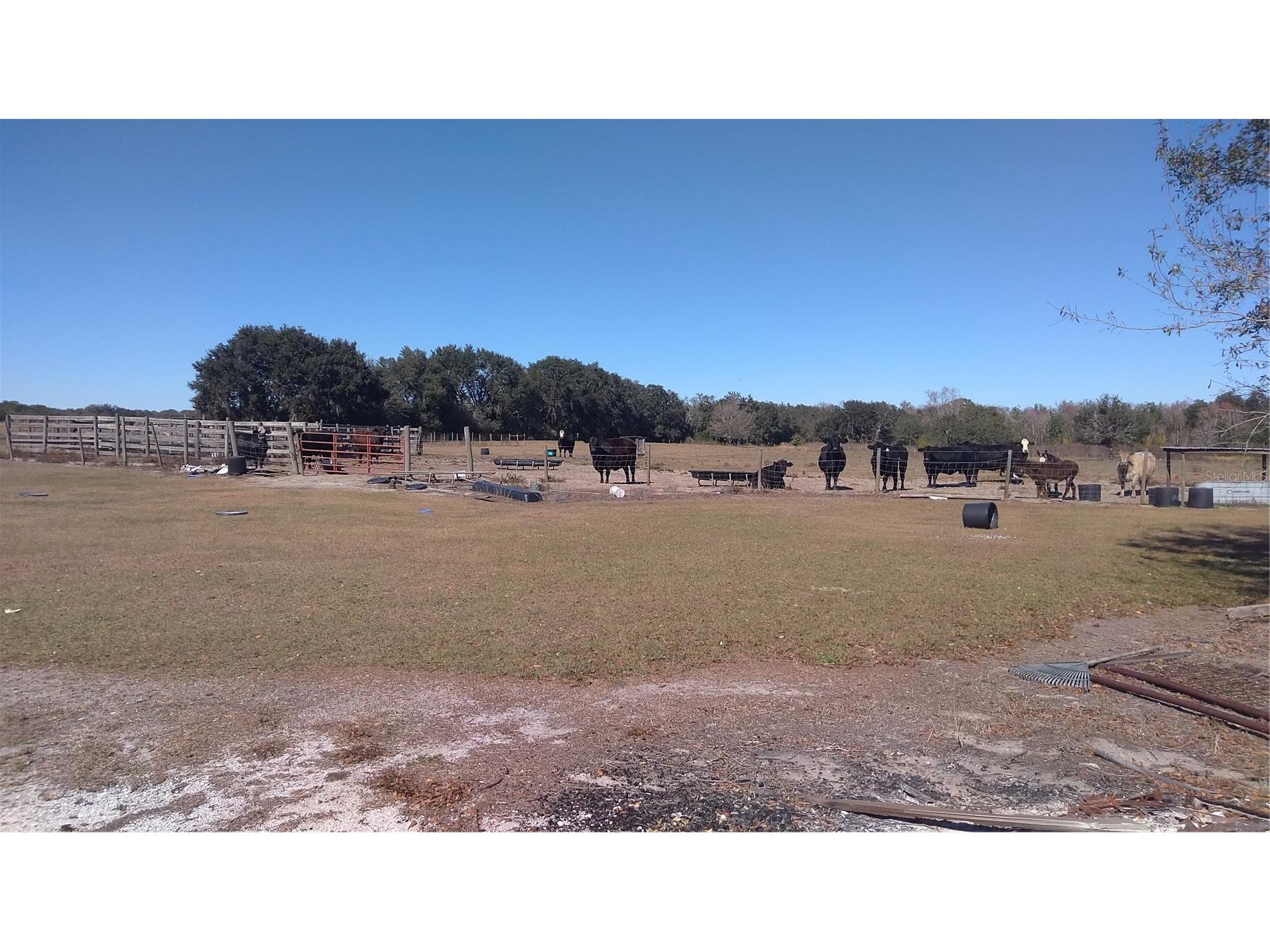 12051 Avon Park Cut Off Road Fort Meade FL 33841 C7520534 image10