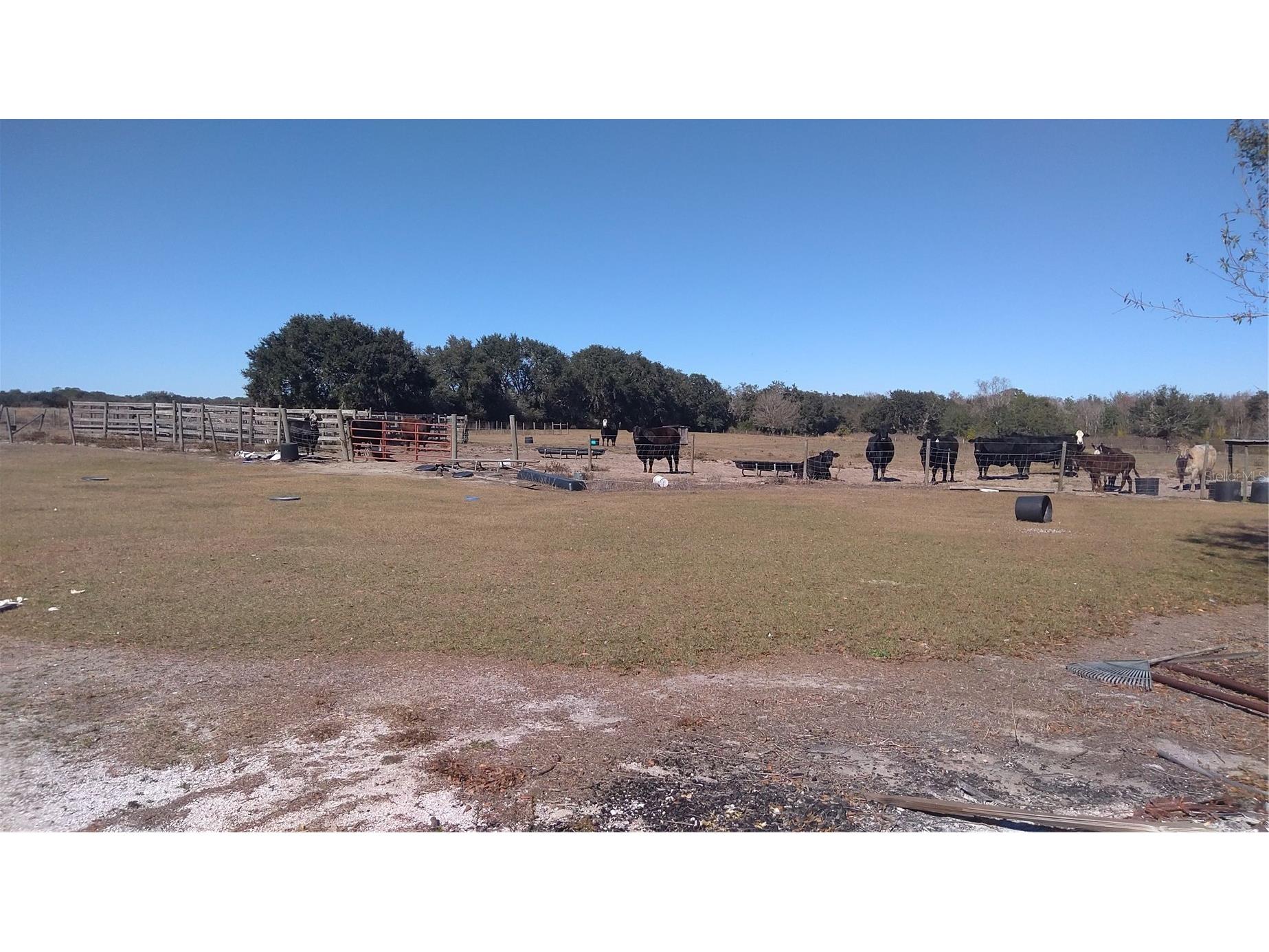 12051 Avon Park Cut Off Road Fort Meade FL 33841 C7520534 image9