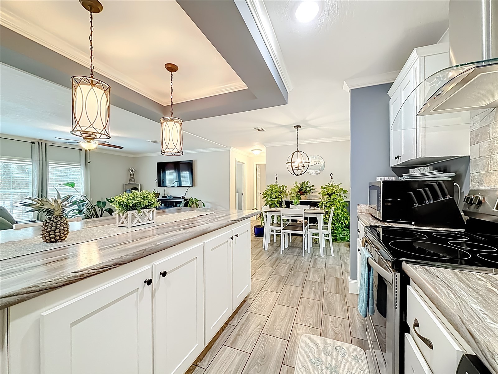 12051 NE 14th Street Williston FL 32696 OM719350 image27