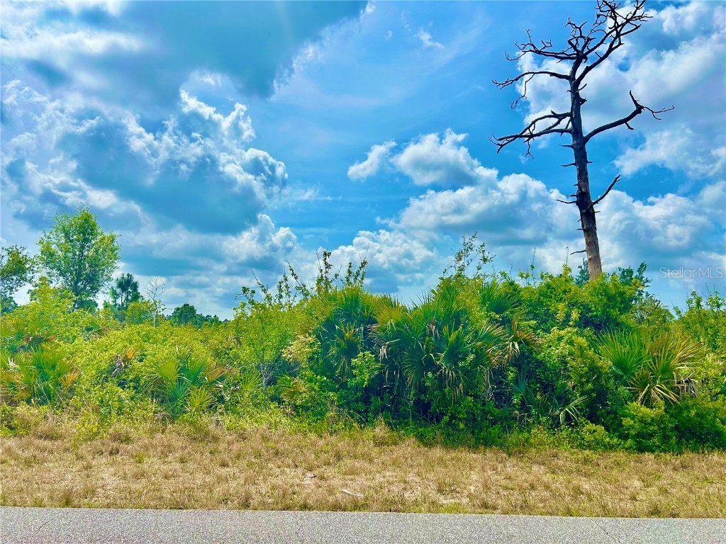 12053 Abrams Avenue Port Charlotte FL 33981 C7507406 image2