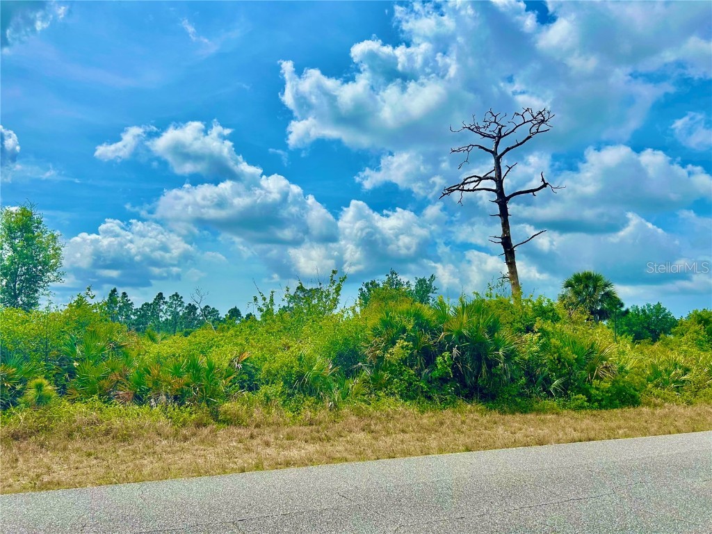 12053 Abrams Avenue Port Charlotte FL 33981 C7507406 image3