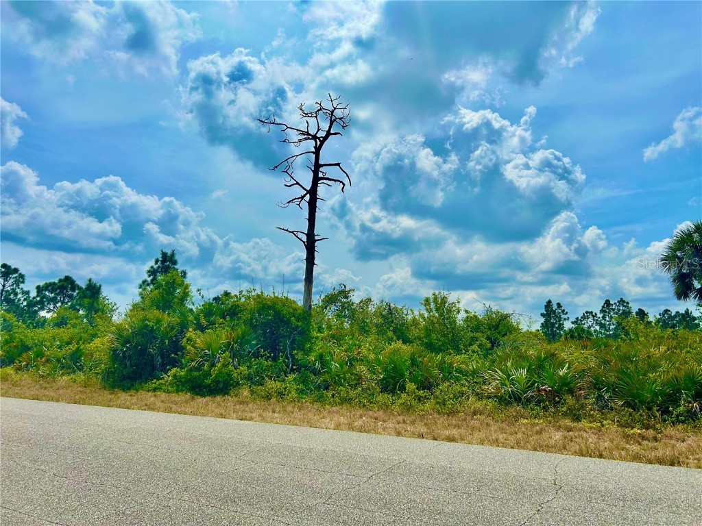 12053 Abrams Avenue Port Charlotte FL 33981 C7507406 image5