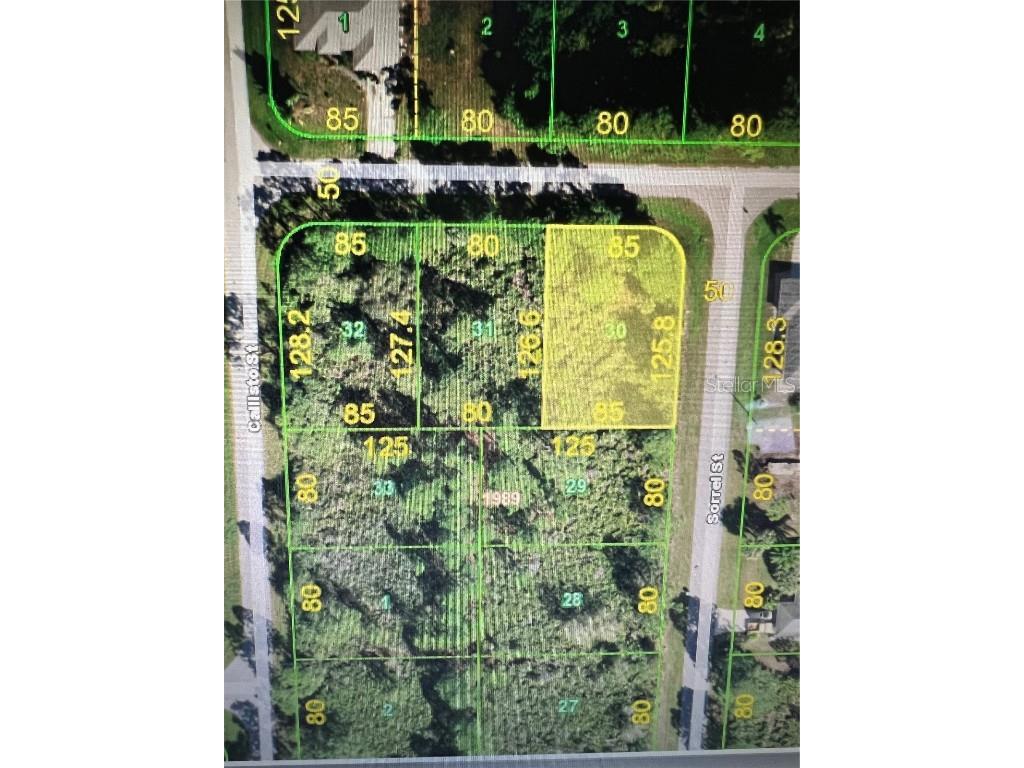 12053 Keller Avenue Port Charlotte FL 33981 A4539847 image1