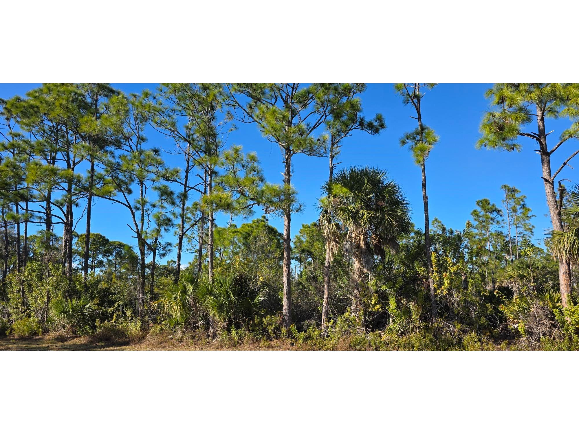 12054 Keller Avenue Port Charlotte FL 33981 C7521647 image1