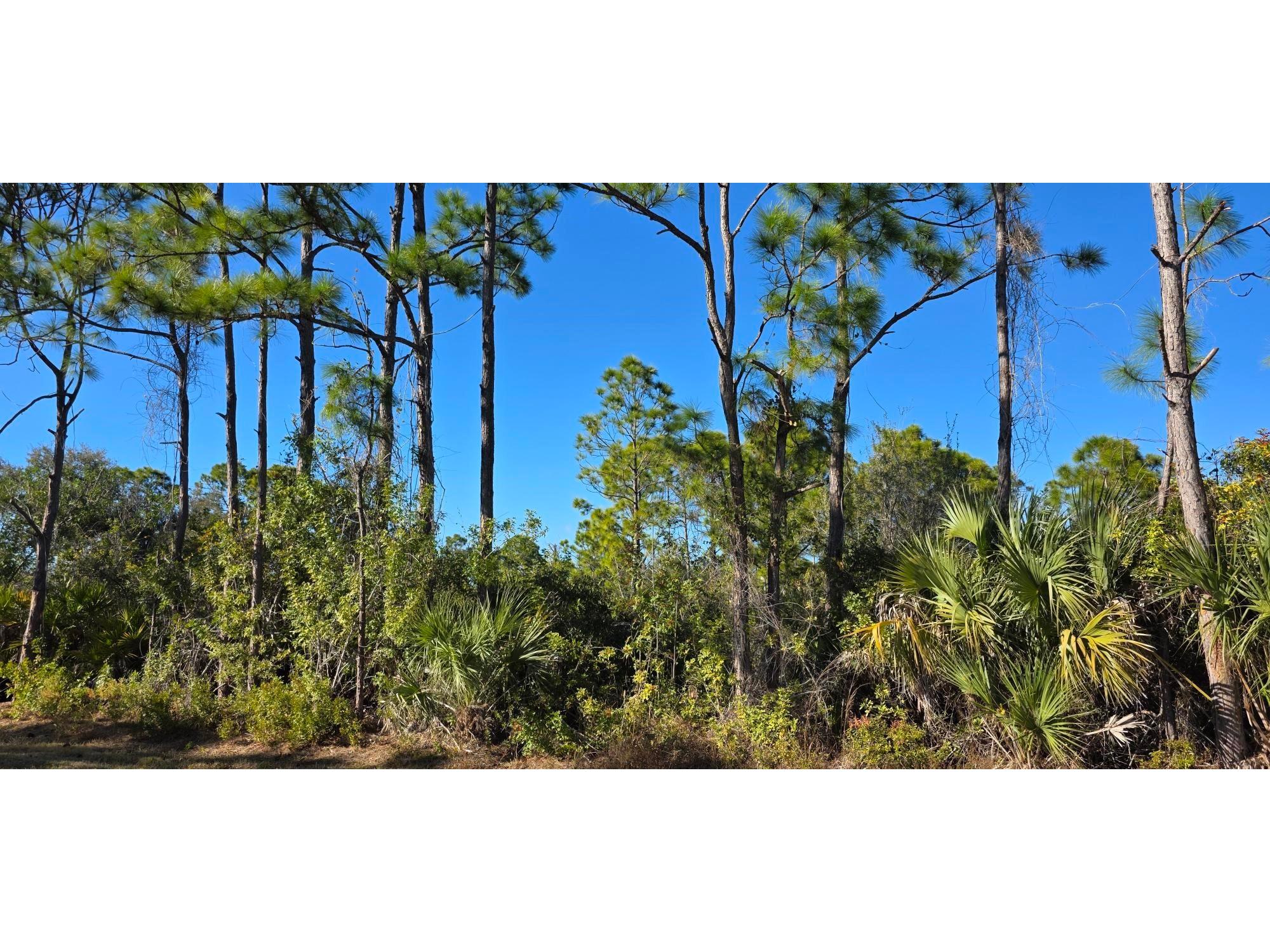 12054 Keller Avenue Port Charlotte FL 33981 C7521647 image3