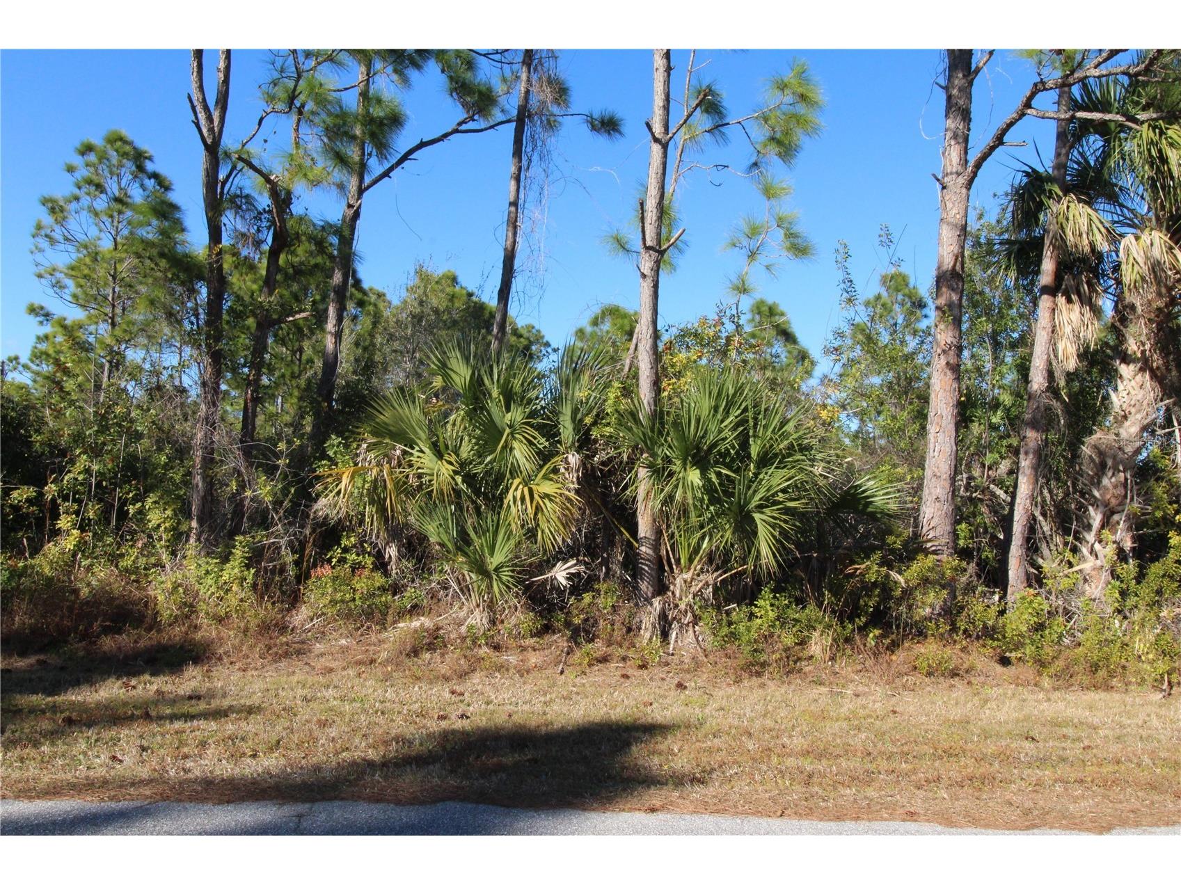 12054 Keller Avenue Port Charlotte FL 33981 C7521647 image7