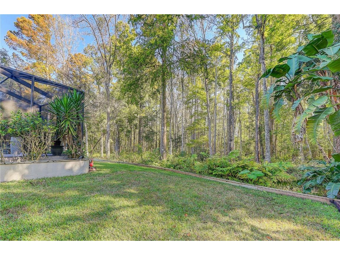 12054 Quail Ridge Drive Spring Hill FL 34610 TB8444211 image47