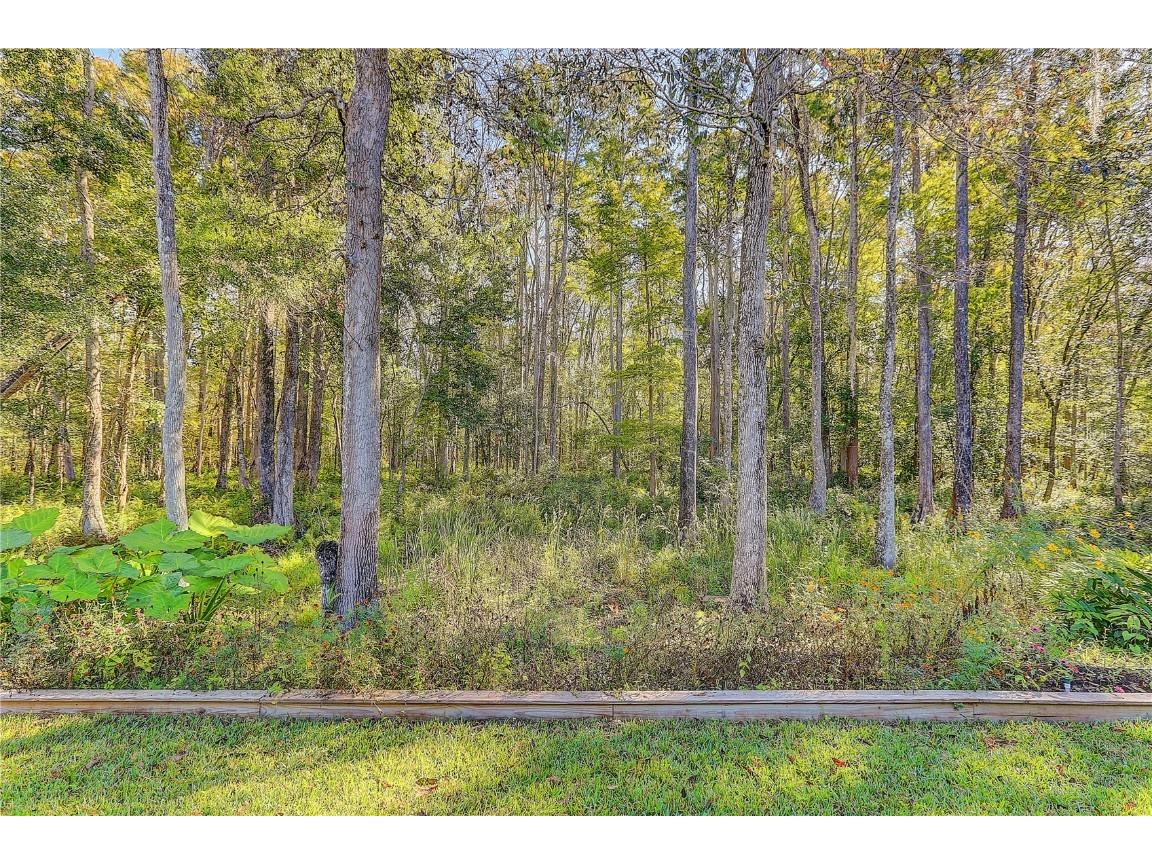 12054 Quail Ridge Drive Spring Hill FL 34610 TB8444211 image49