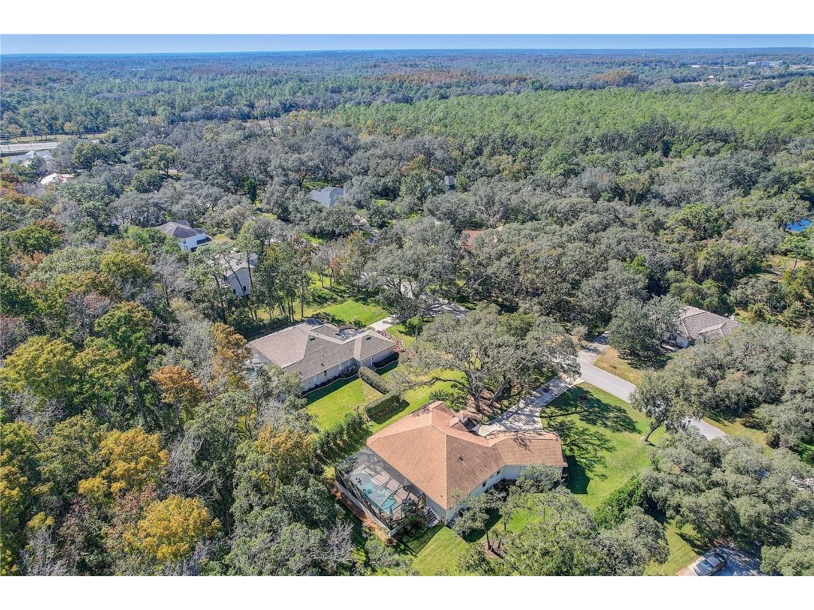 12054 Quail Ridge Drive Spring Hill FL 34610 TB8444211 image62