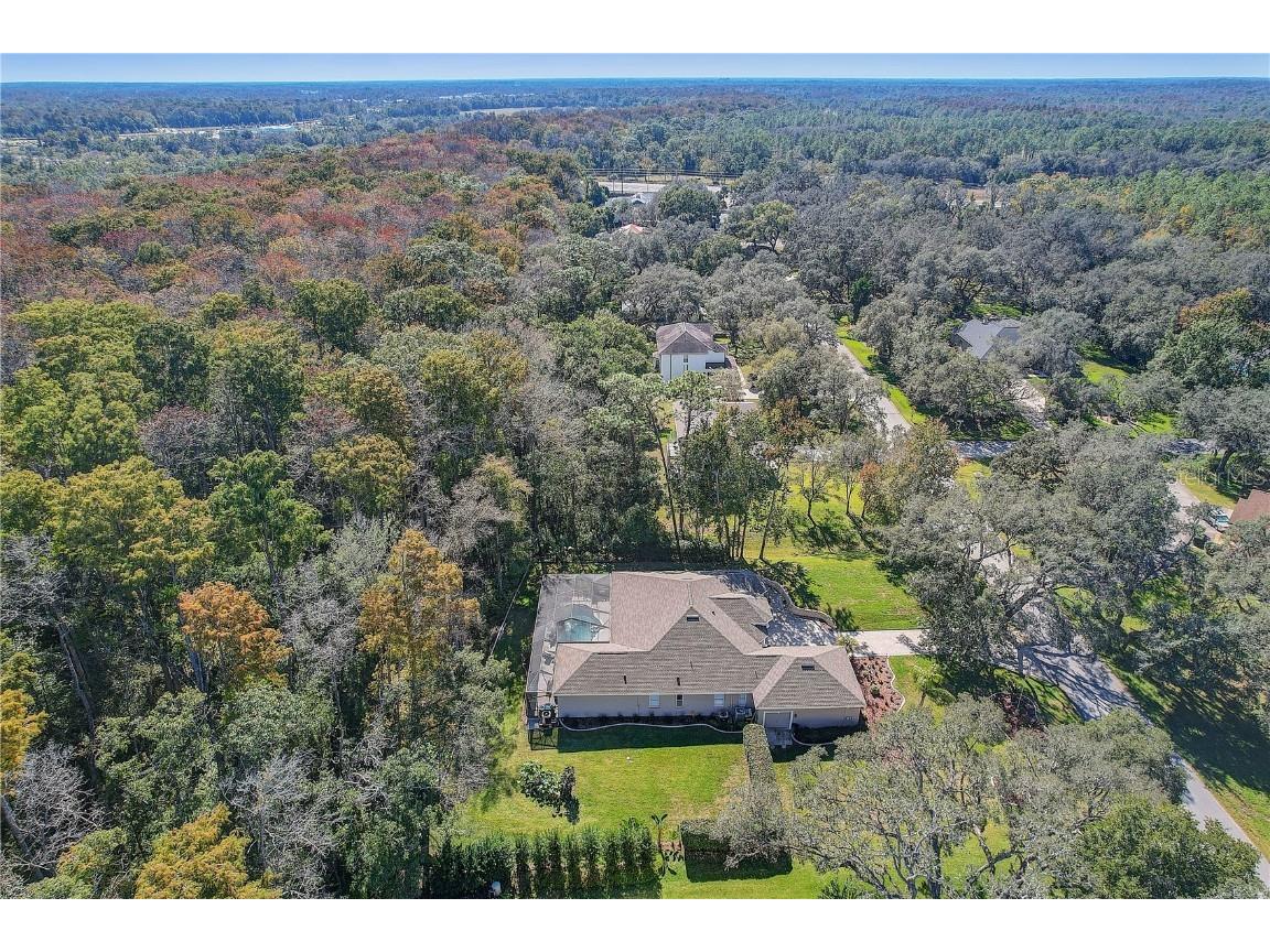 12054 Quail Ridge Drive Spring Hill FL 34610 TB8444211 image64