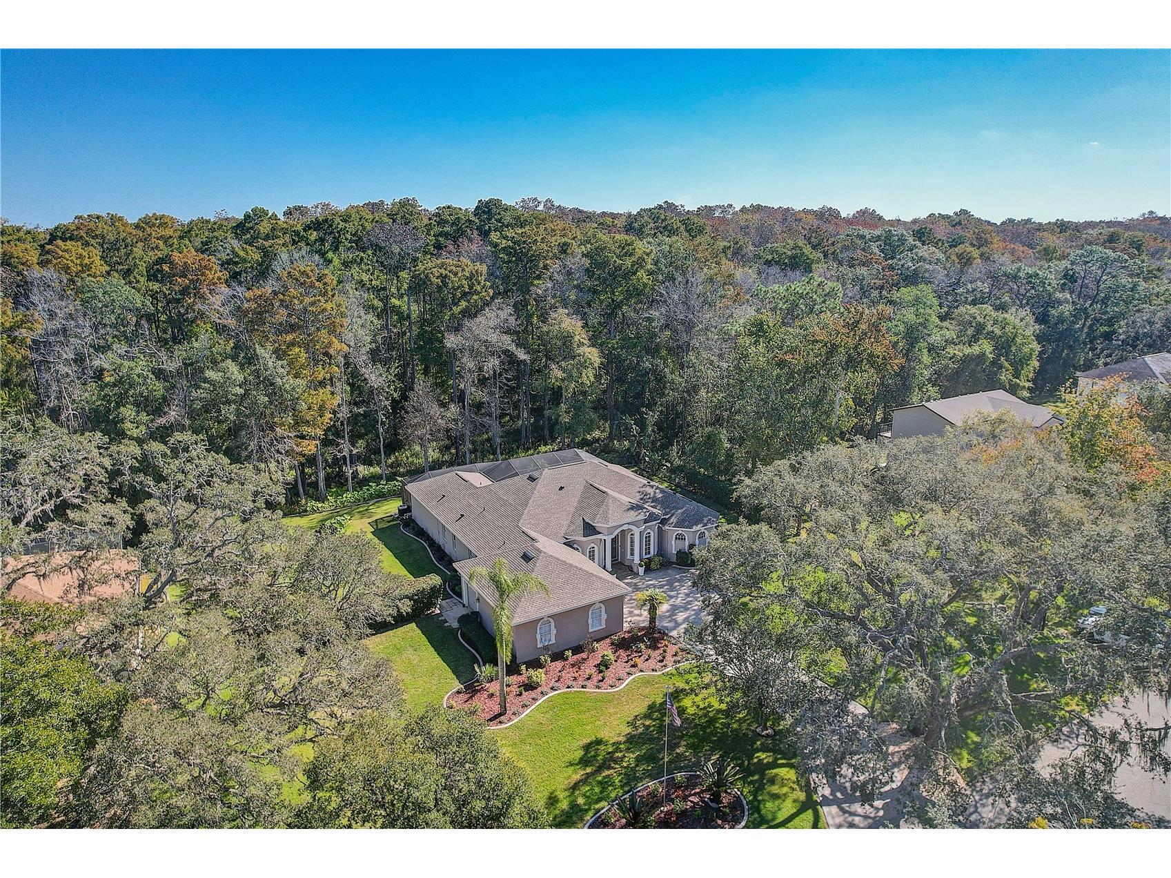 12054 Quail Ridge Drive Spring Hill FL 34610 TB8518409 image5