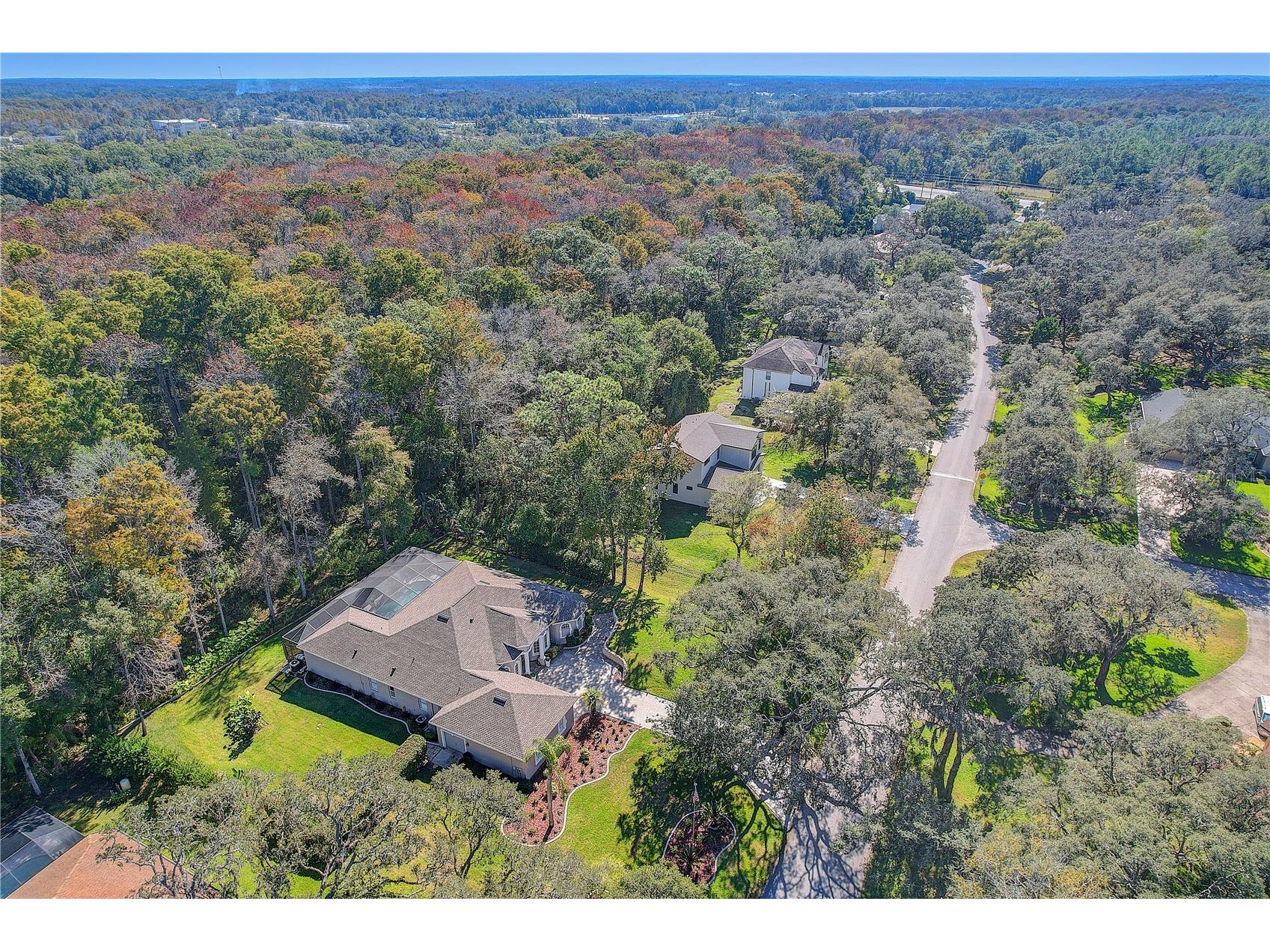 12054 Quail Ridge Drive Spring Hill FL 34610 TB8518409 image53