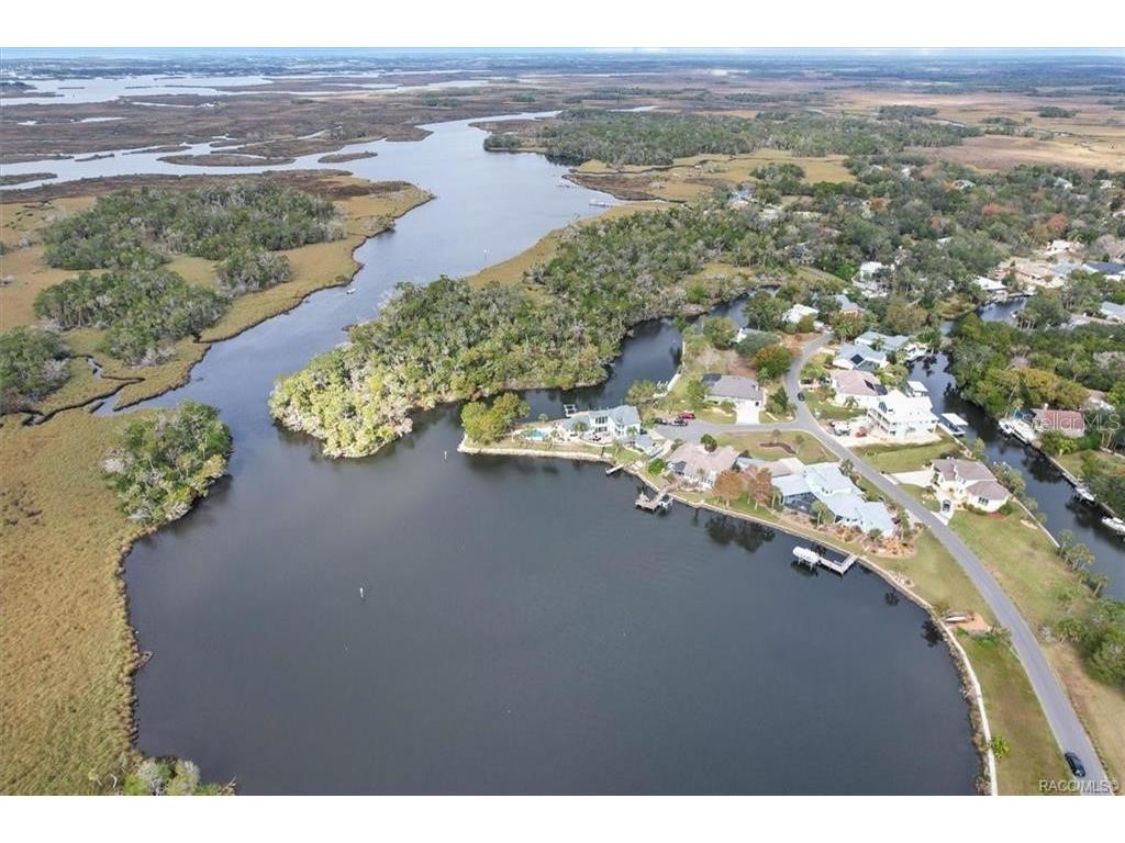 12054 W Broad Jump Court Homosassa FL 34448 G5110203 image48
