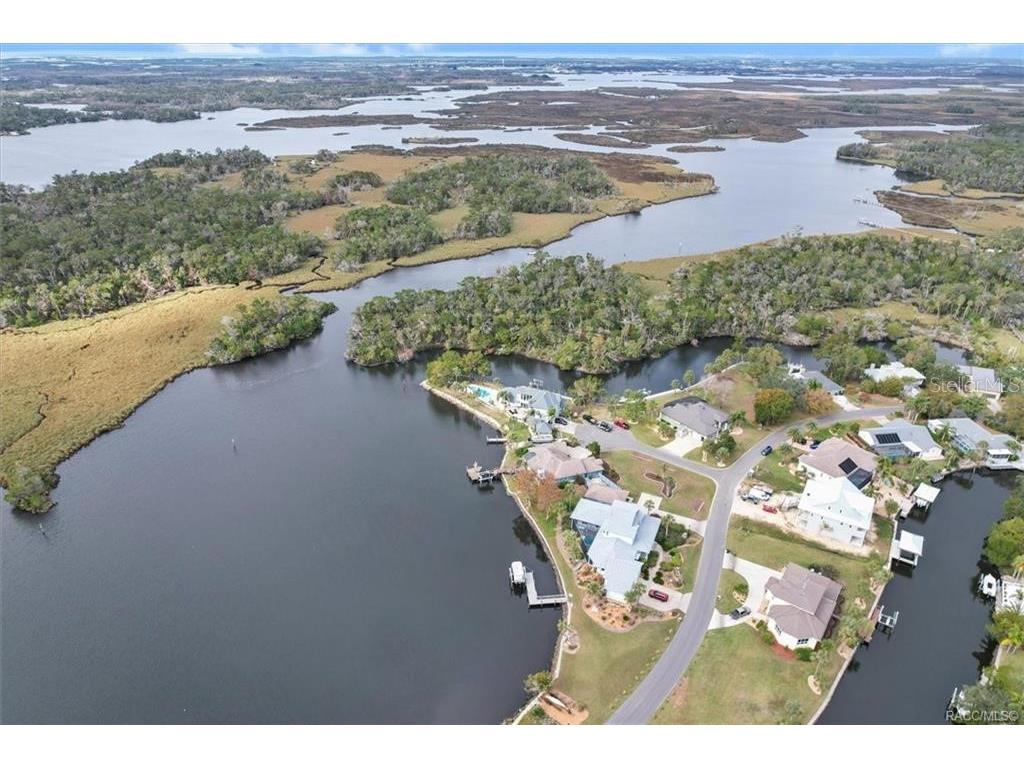 12054 W Broad Jump Court Homosassa FL 34448 G5110203 image50