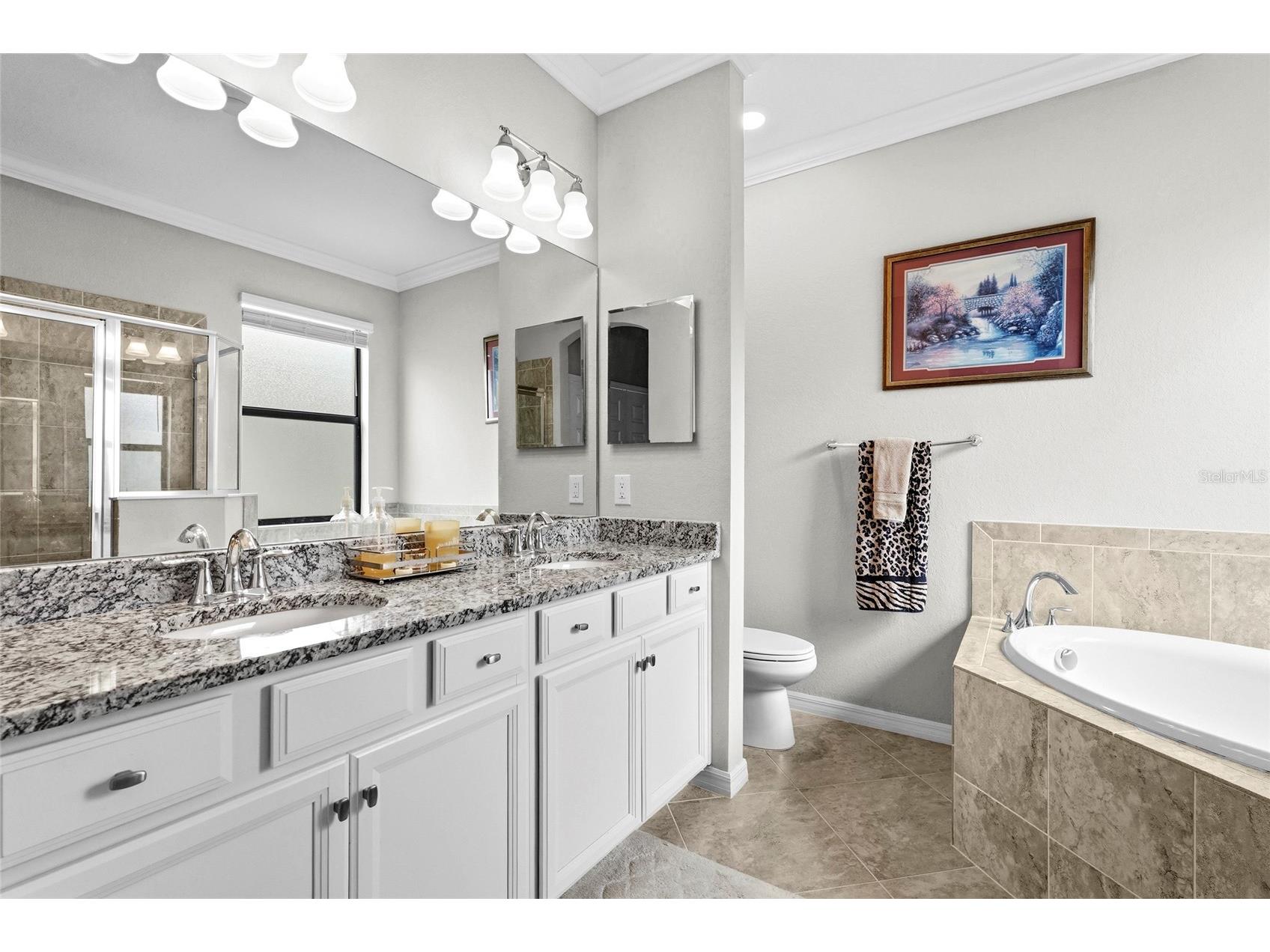 12055 Amica Loop Venice FL 34293 A4693365 image27